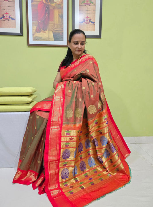 Amber Tissue Elegance: The Coconut Border Paithani