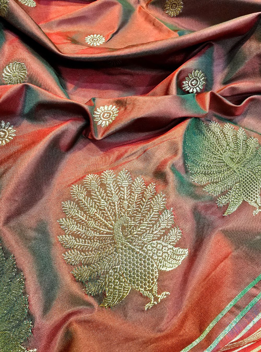 Amber Tissue Elegance: The Coconut Border Paithani